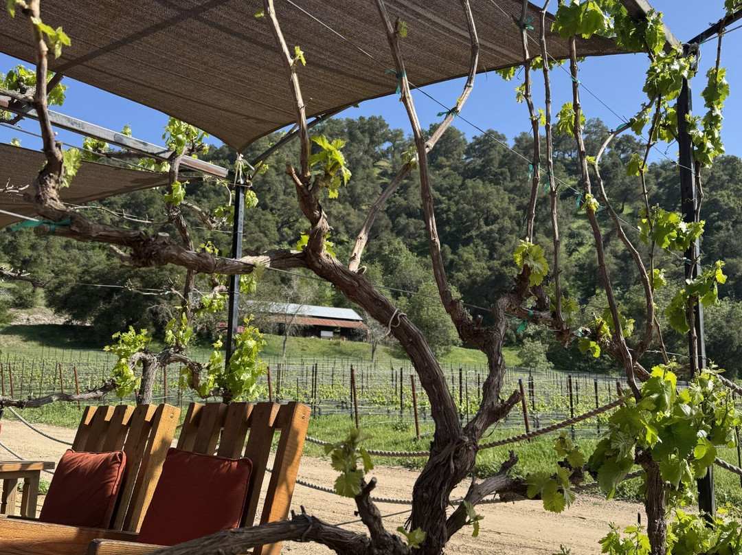 Old Creek Ranch Winery-文图拉县必去景点