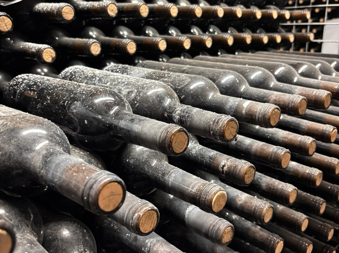 Bodega Garcia Hidalgo-隆达必去景点