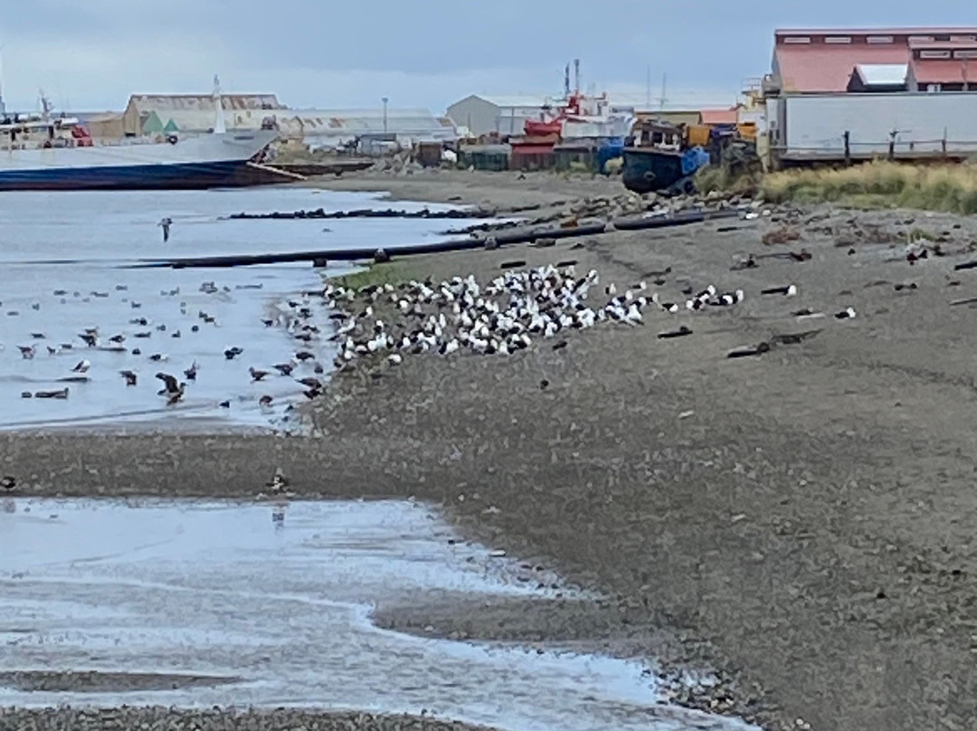 Museo Nao Victoria-蓬塔阿雷纳斯必去景点