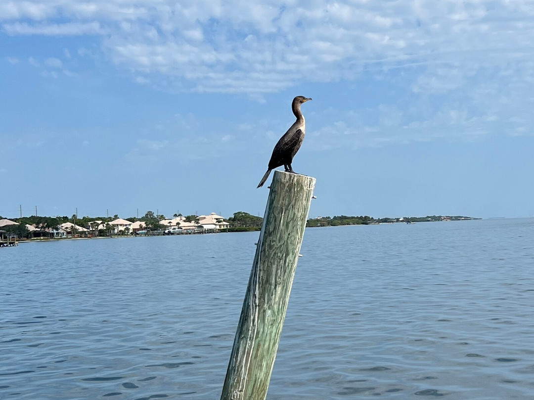 Good Natured River Tours-墨尔本必去景点