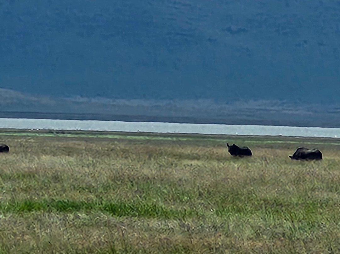 Termite Tour Travel-阿鲁沙必去景点