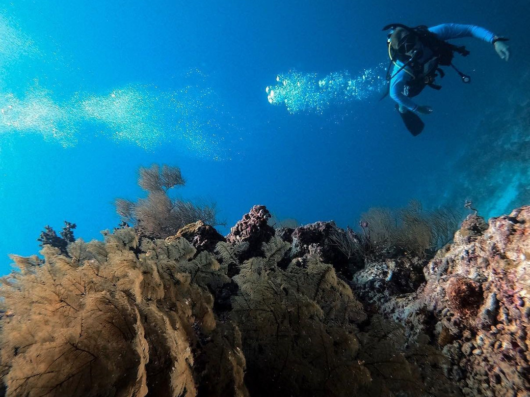 Scuba Divine Maldives - Dhiffushi-Dhiffushi Island必去景点