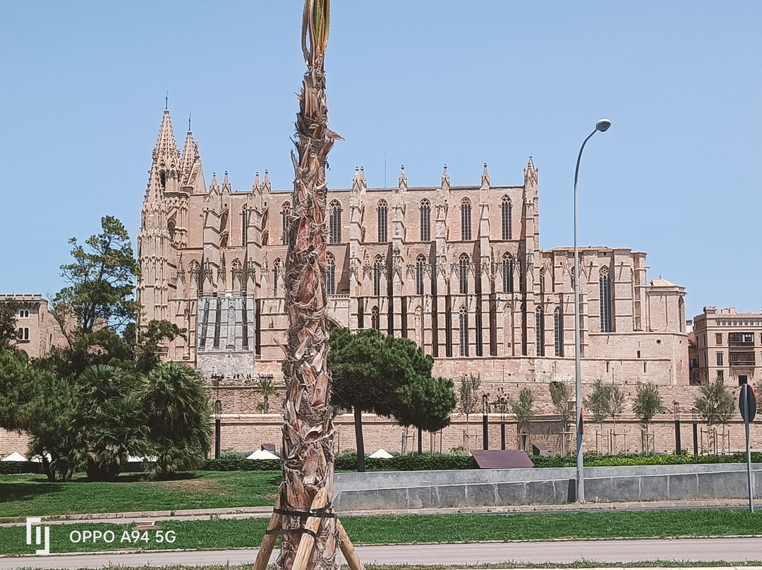 Hotel Bordoy Cosmopolitan主图