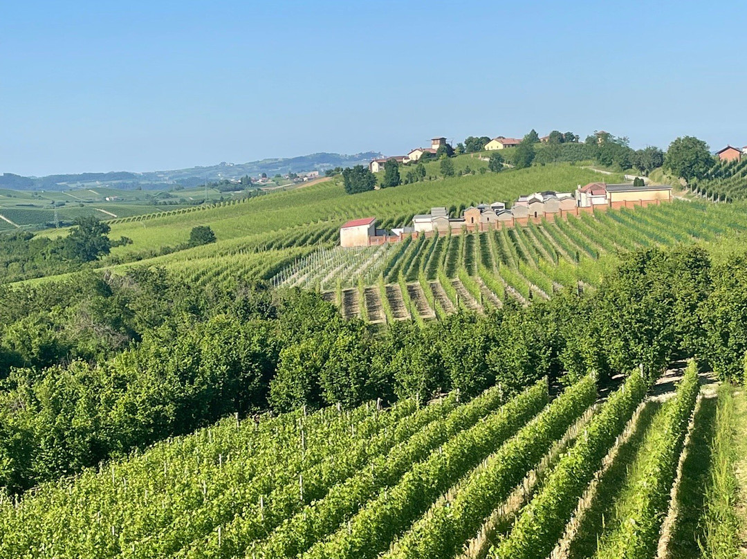Burzi Alberto Winery-拉莫拉必去景点