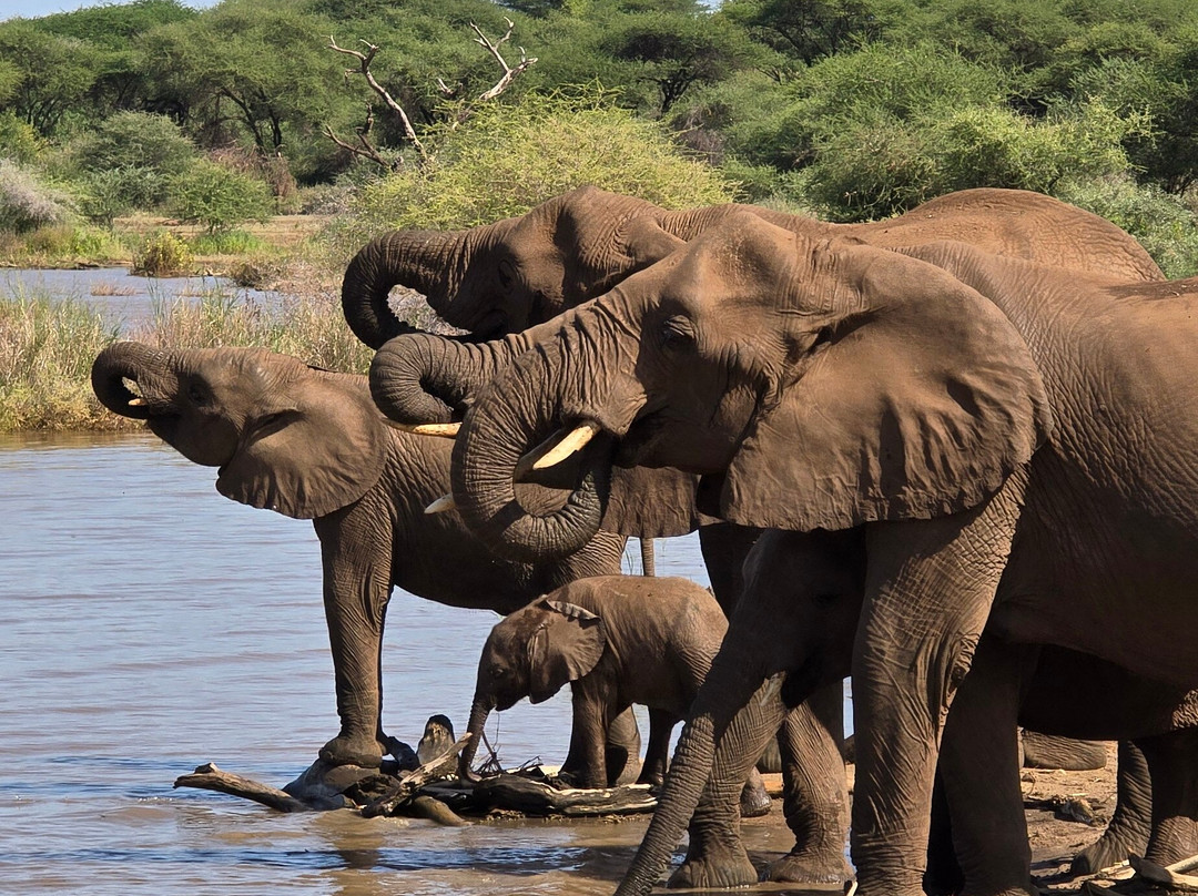 Wapo Africa Safaris Ltd-阿鲁沙必去景点