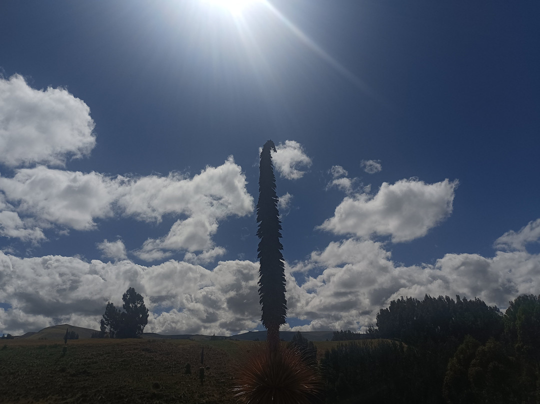 Obelisco de la Pampa de la Quinua景点图片