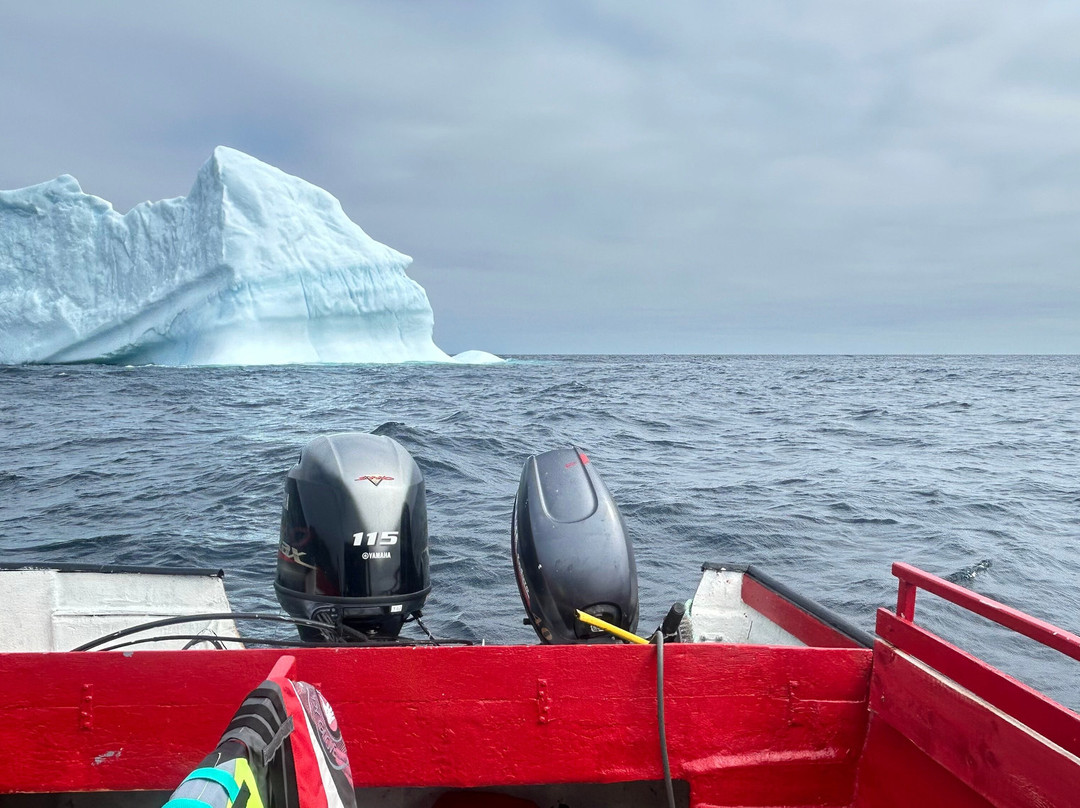 Iceberg Alley Boat Tours-St. Anthony必去景点