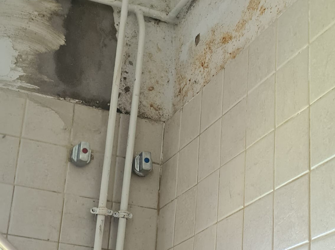 Balneario Fuentes del Trampal主图