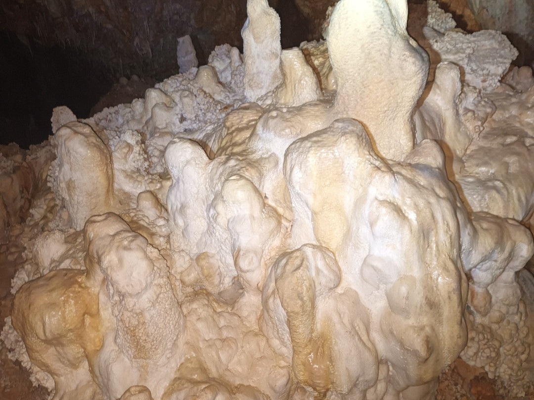 Aven Grotte Forestière-Orgnac-l'Aven必去景点