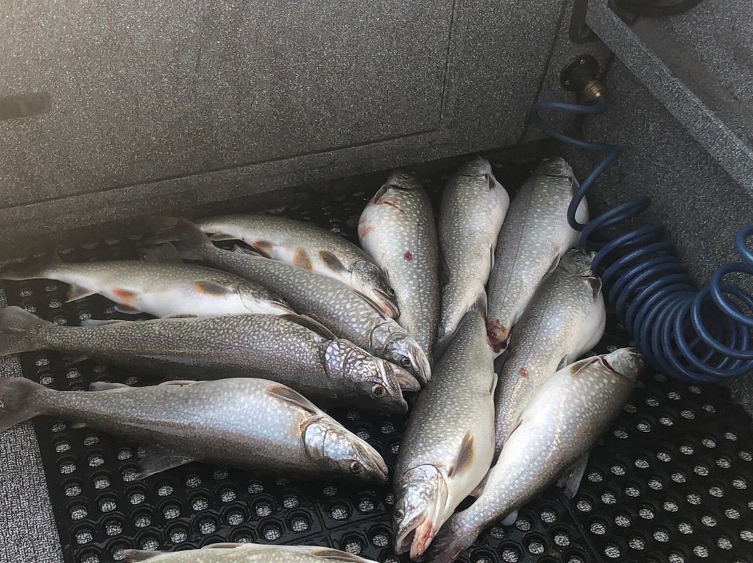 Sierra Fin Addicts Fishing Charters-因克莱恩村必去景点