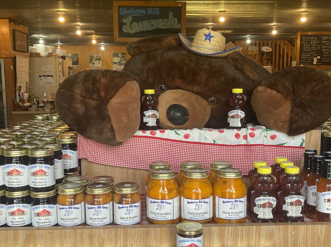 Blueberry Hill Farms景点图片