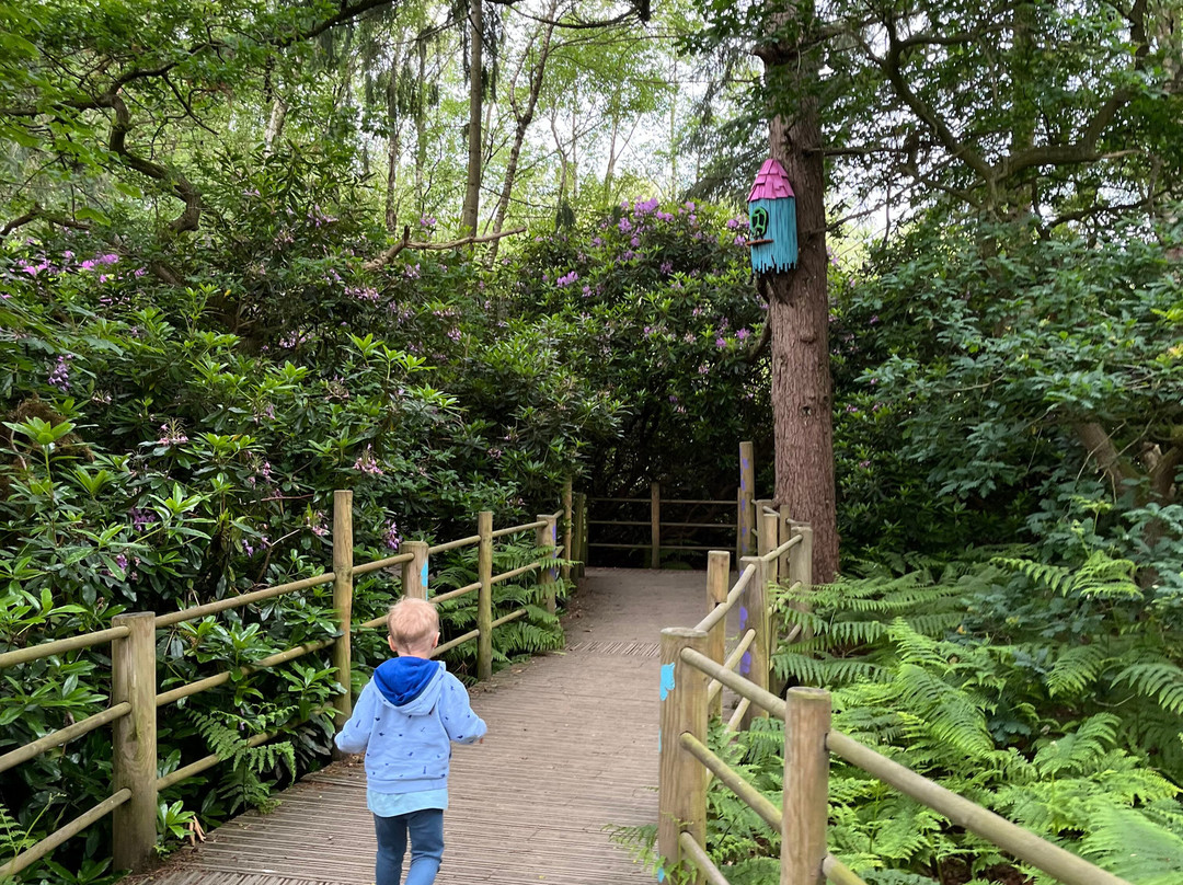 BeWILDerwood Cheshire景点图片
