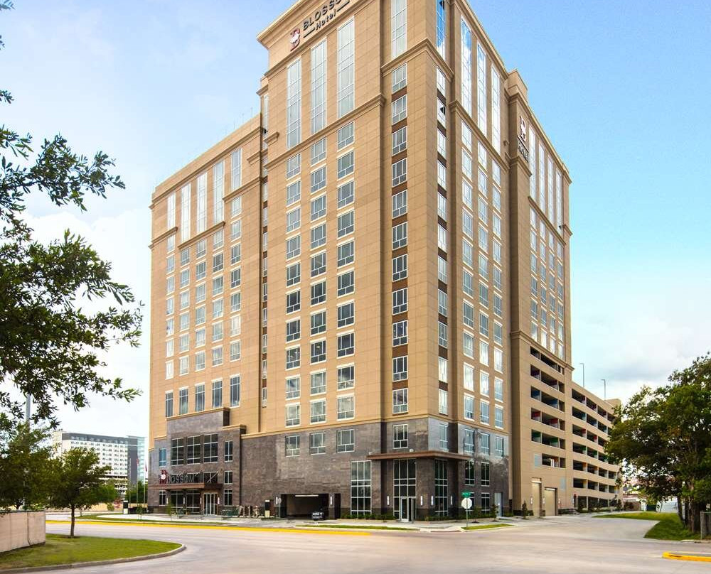 Blossom Houston, A Curio Collection by Hilton