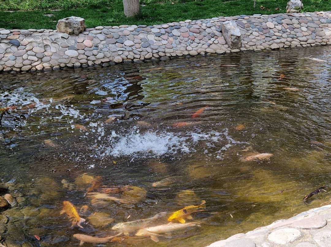 Japanese Garden-塔什干必去景点