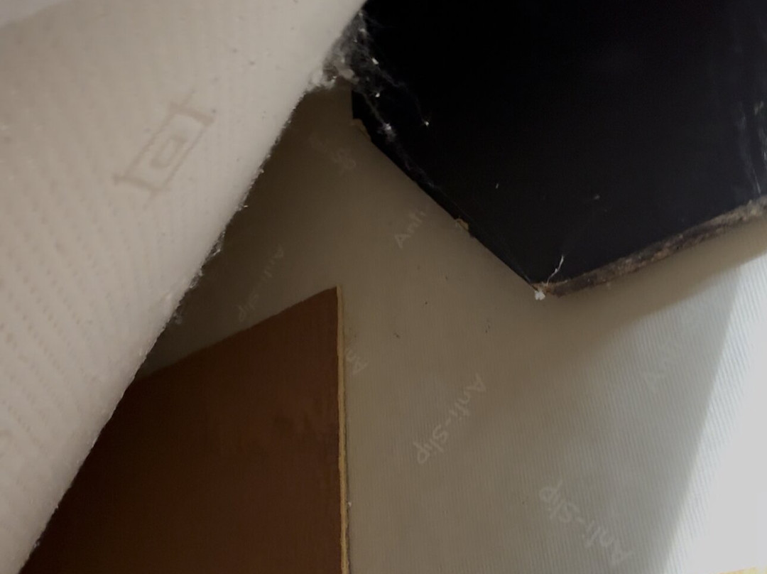 The Shurland Hotel主图