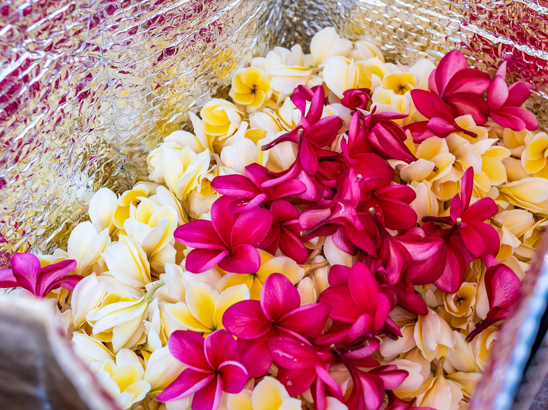 Molokai Plumerias-考纳卡卡伊必去景点