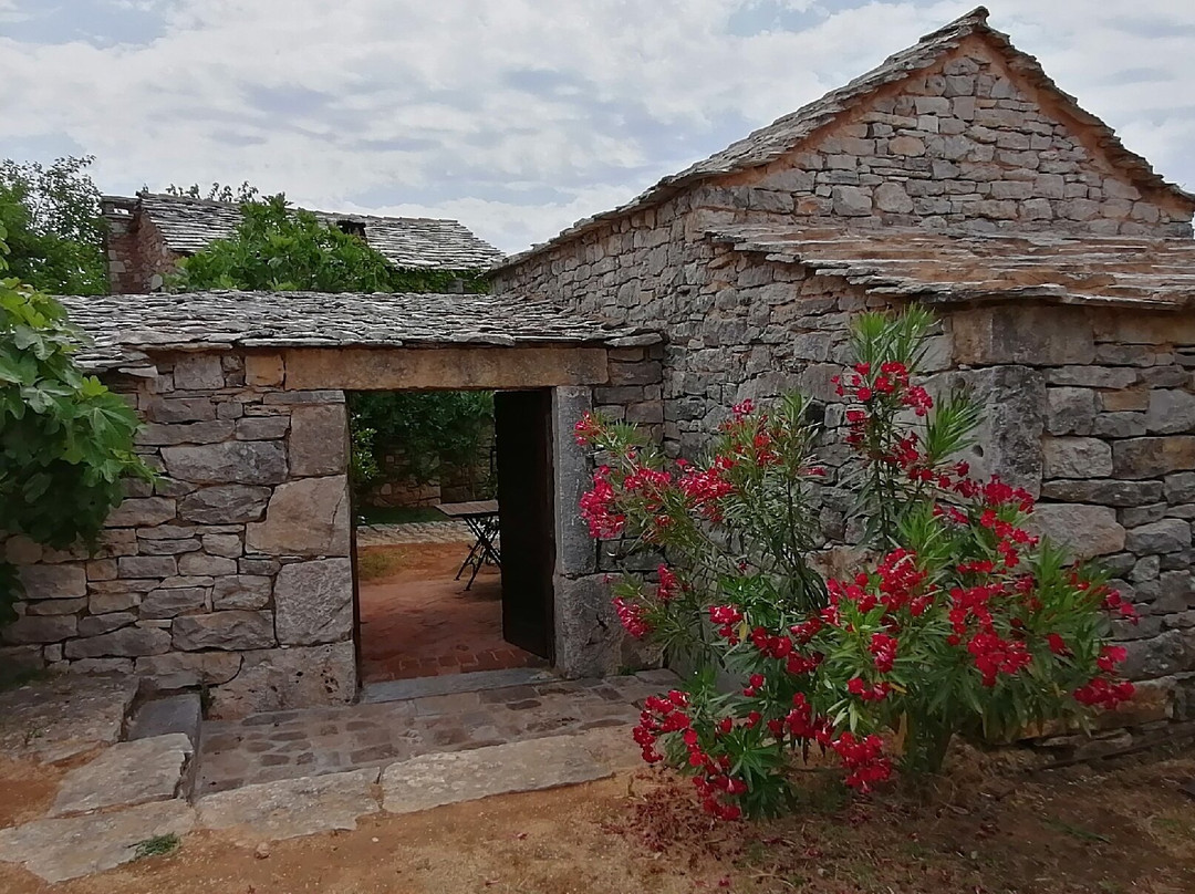 Dalmatian Ethno Village景点图片