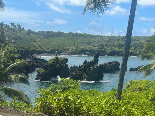 Local Maui Tours-芭雅必去景点