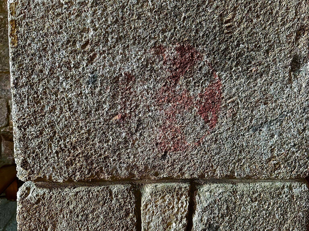 Museum Civitatense Basilica di San Simplicio-奥尔比亚必去景点