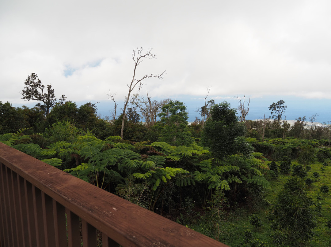 雷鸣山咖啡种植园-凯鲁瓦-柯纳必去景点