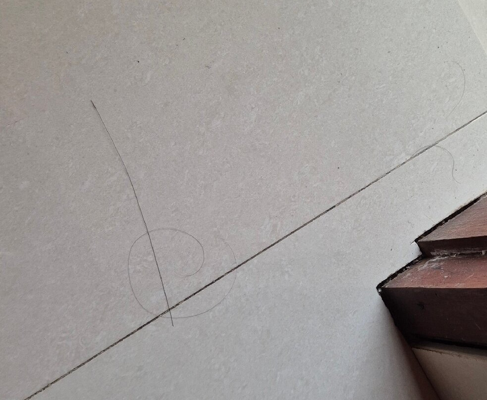 Ubud Tropical Garden 2主图