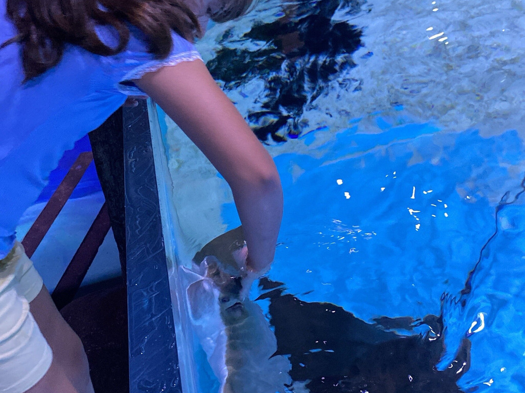 Blue Zoo Aquarium Rogers-罗杰斯必去景点