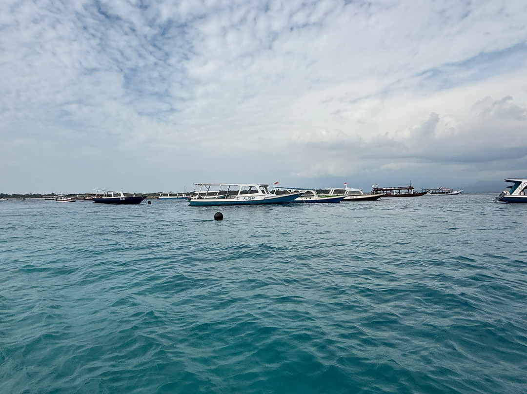 Jonny Tour Guide-Tetebatu必去景点
