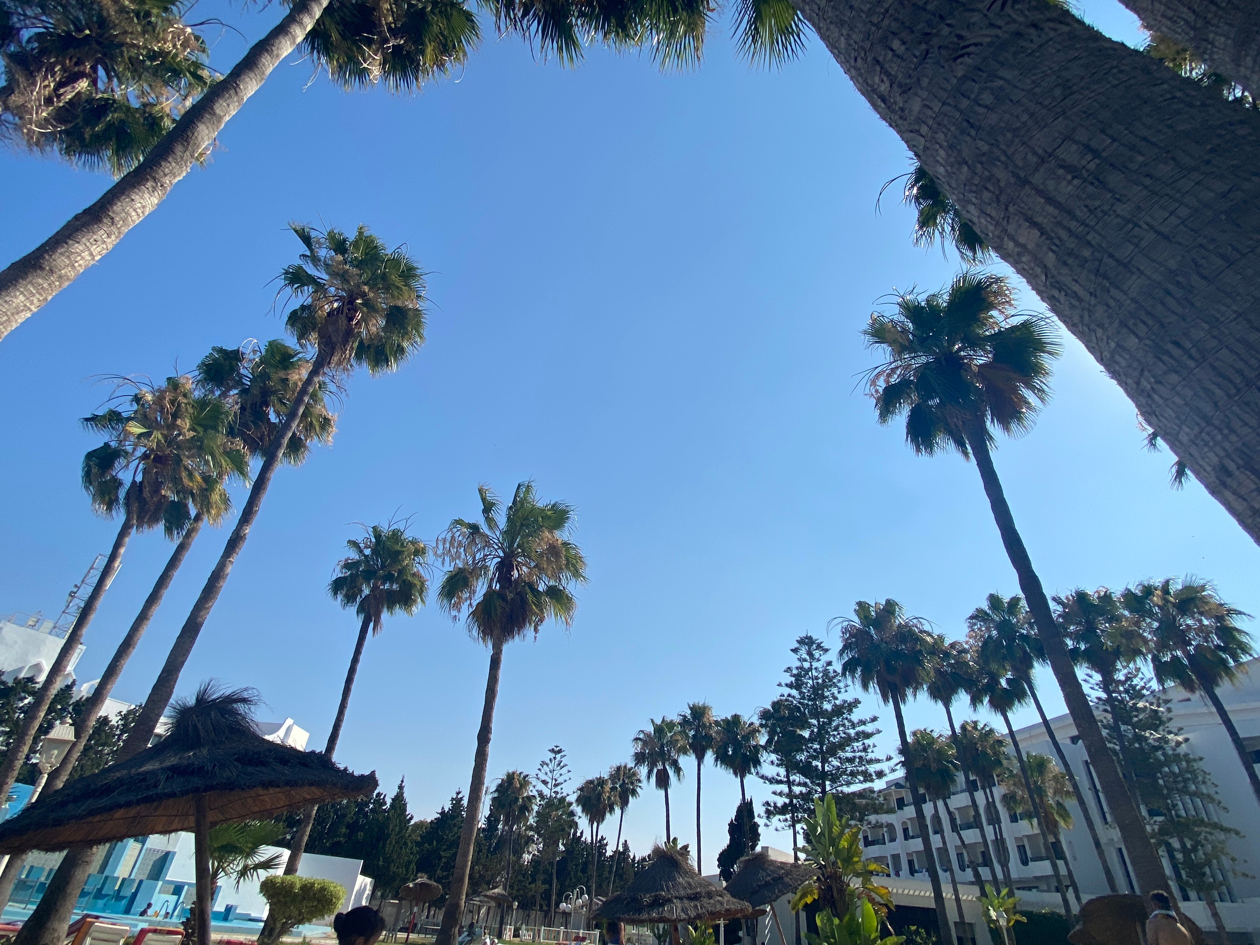 Orient Palace Hotel-官方