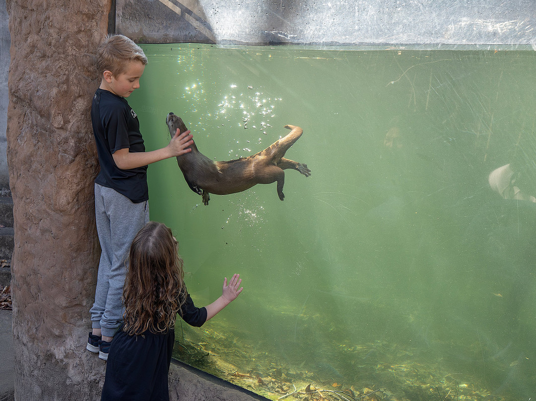 Virginia Living Museum-纽波特纽斯必去景点