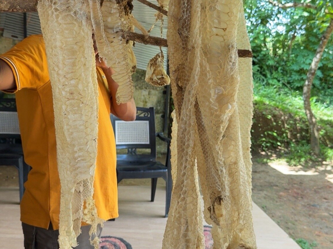 Snake Farm Weligama (Traditional Farm)-瓦勒迦玛必去景点