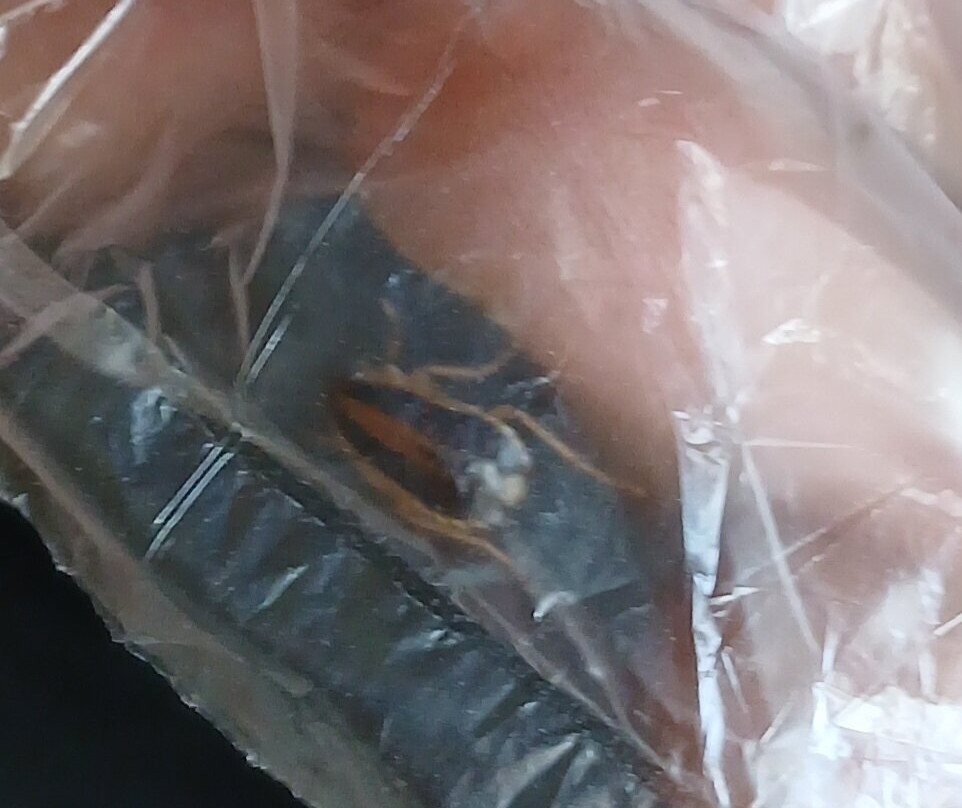 La Quinta Inn & Suites by Wyndham Marble Falls主图