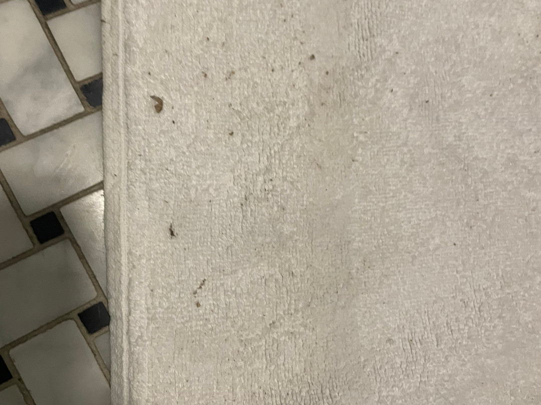 The Nest on Newcastle主图