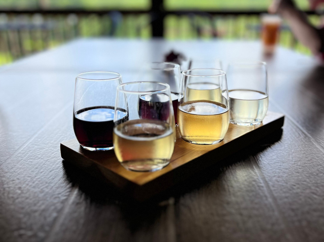 Eagle Fork Vineyards-Hayesville必去景点