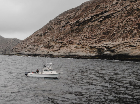 Catch Sportfishing-拉荷亚必去景点