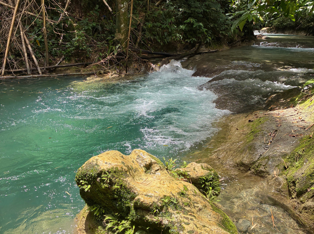Drivers River-Portland Parish必去景点