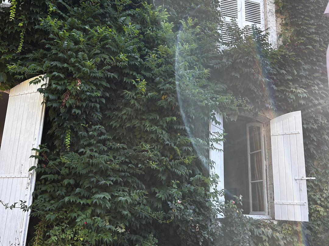 Domaine De La Brugere主图