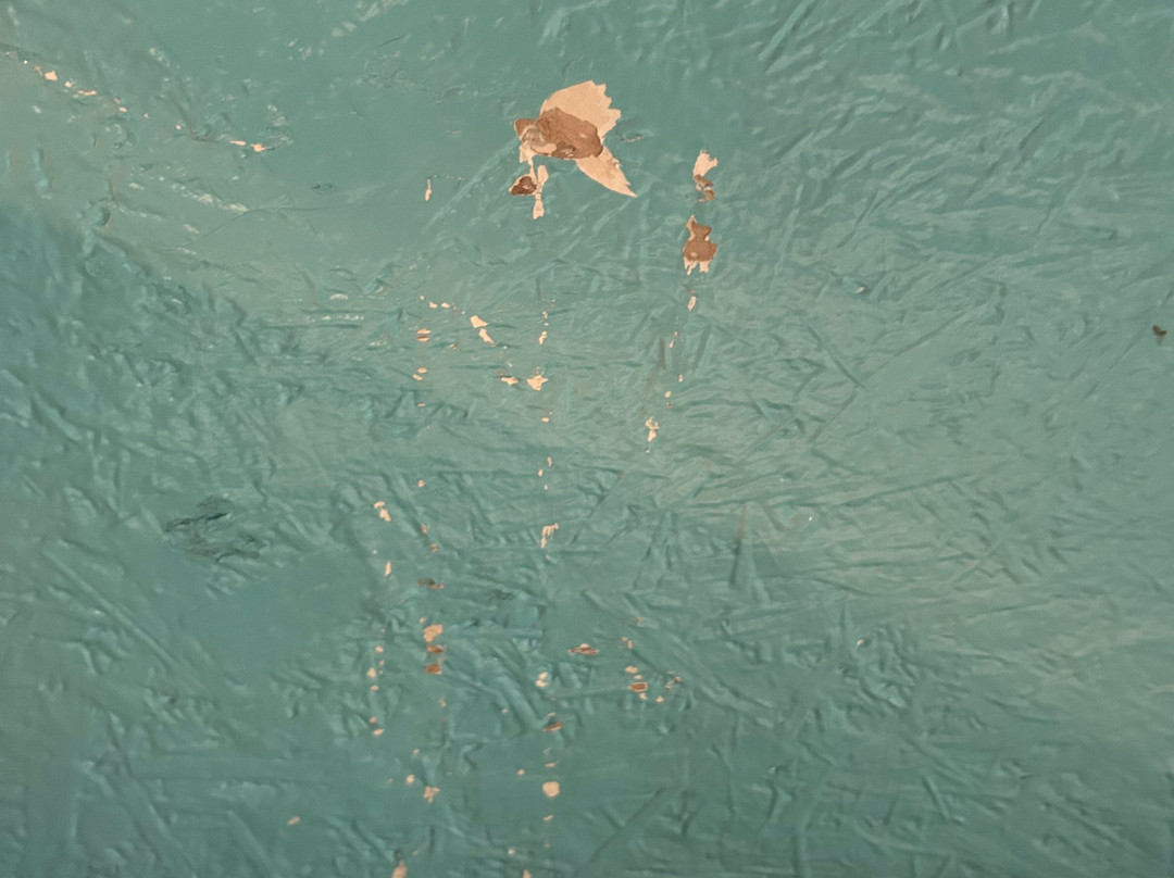 Adventures Unlimited Outdoor Center-Milton必去景点