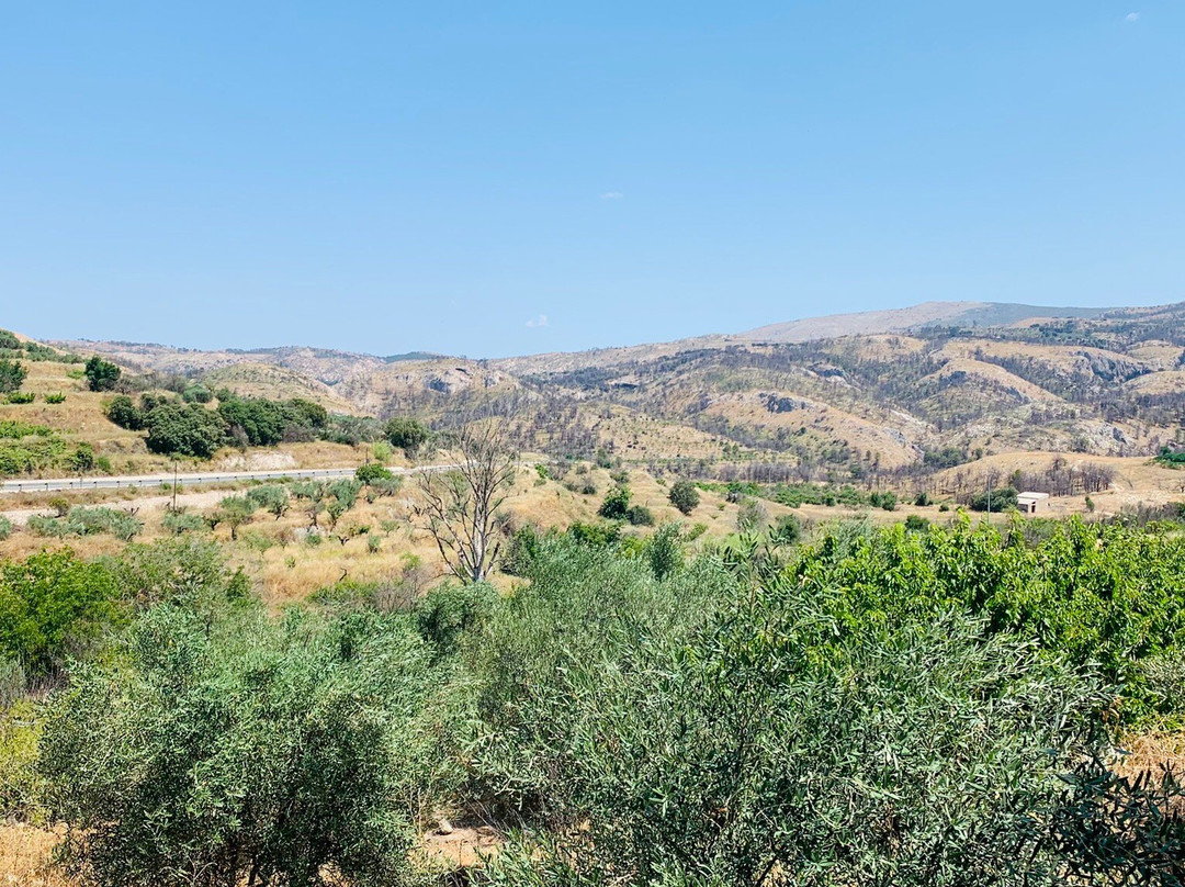 L'Almassera  Casa Rural & Restaurant主图