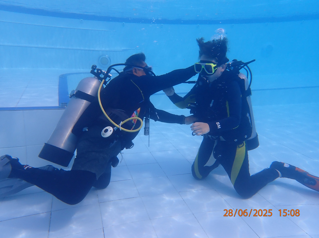 Cebu Fun Divers-莫阿尔博阿尔必去景点