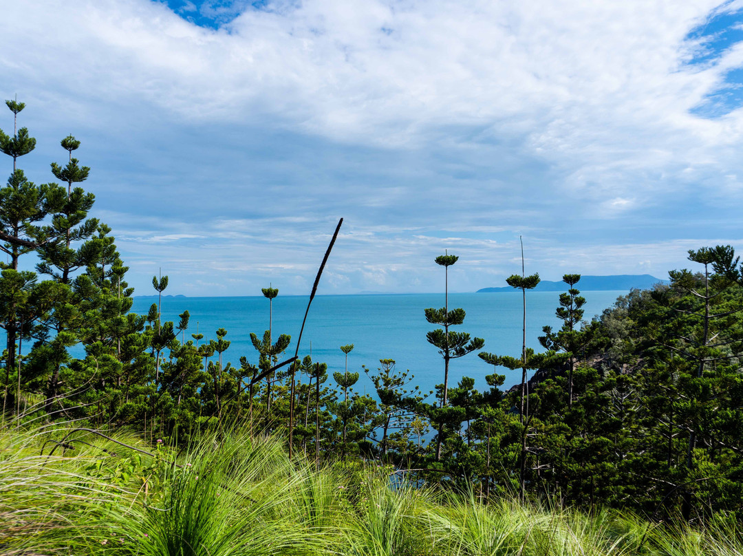 South East Head-汉密尔顿岛必去景点