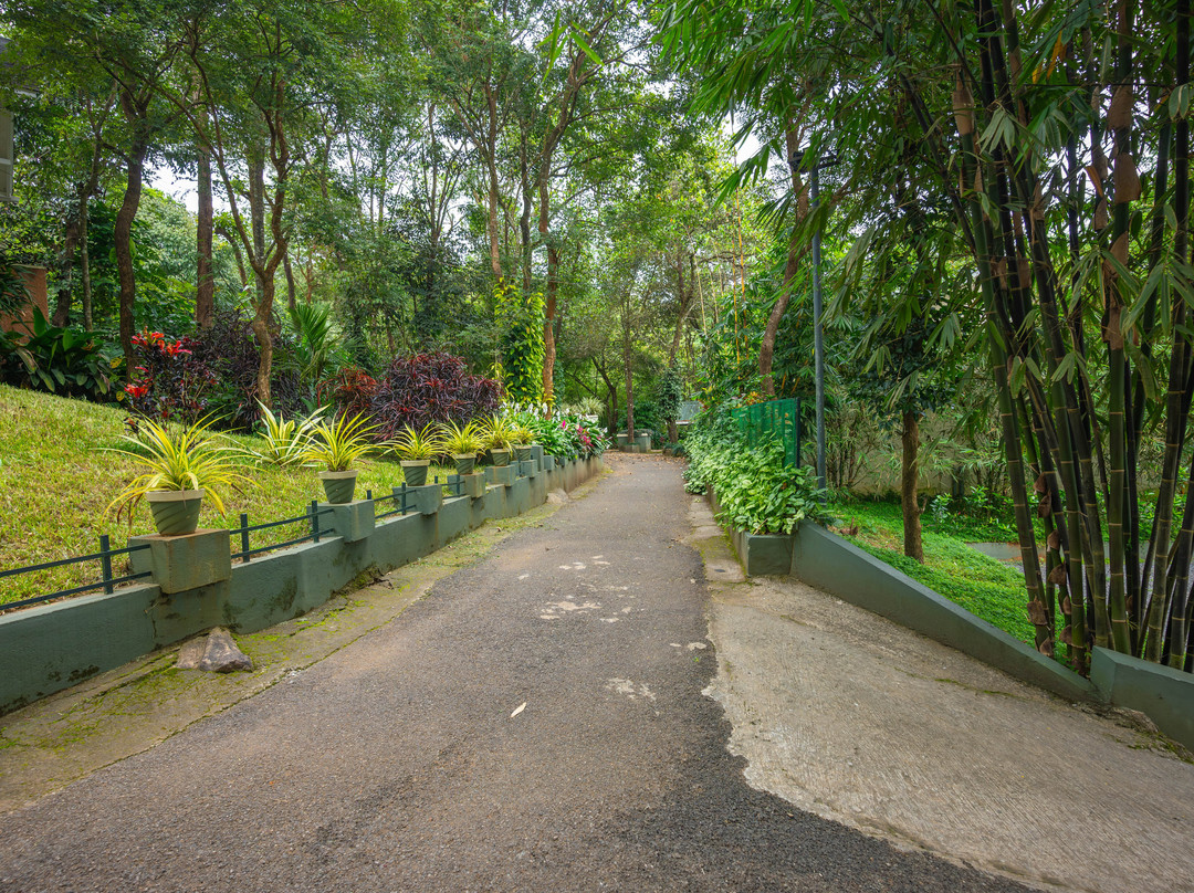 Banasura Jungle Resort By Z Vacations