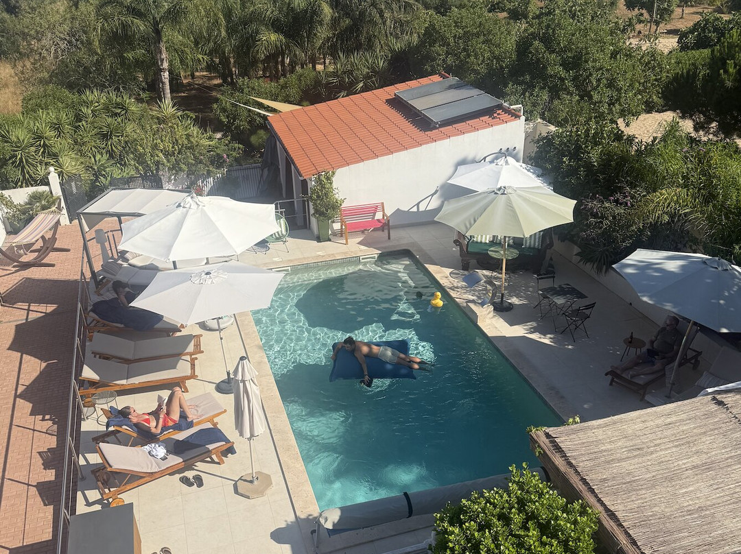 Palm View Guesthouse主图