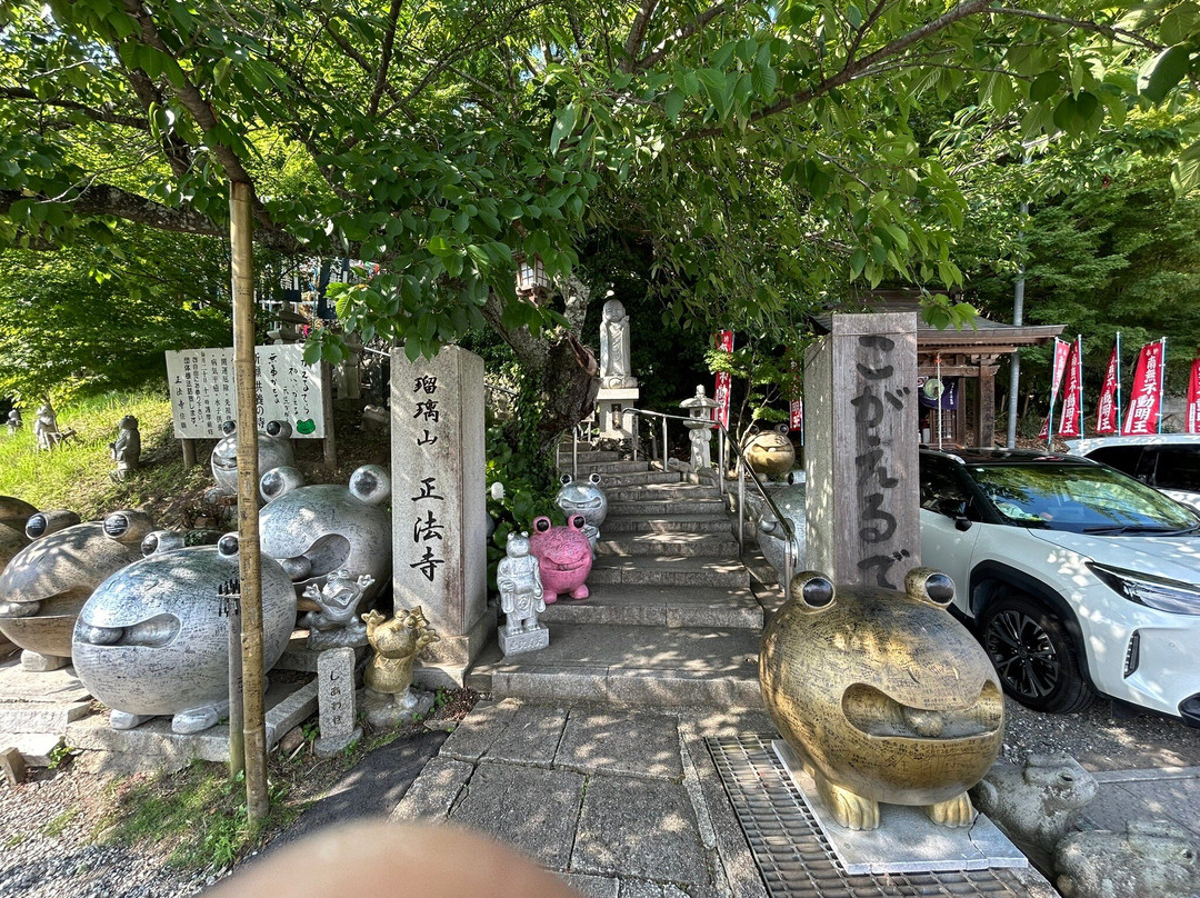 Rurizan Shobo-ji Temple-饭冢市必去景点