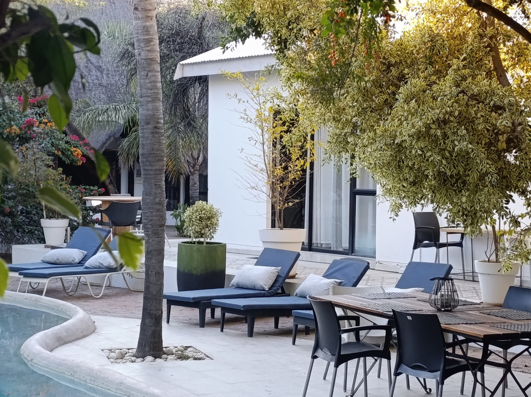 Out of Africa Town Lodge主图