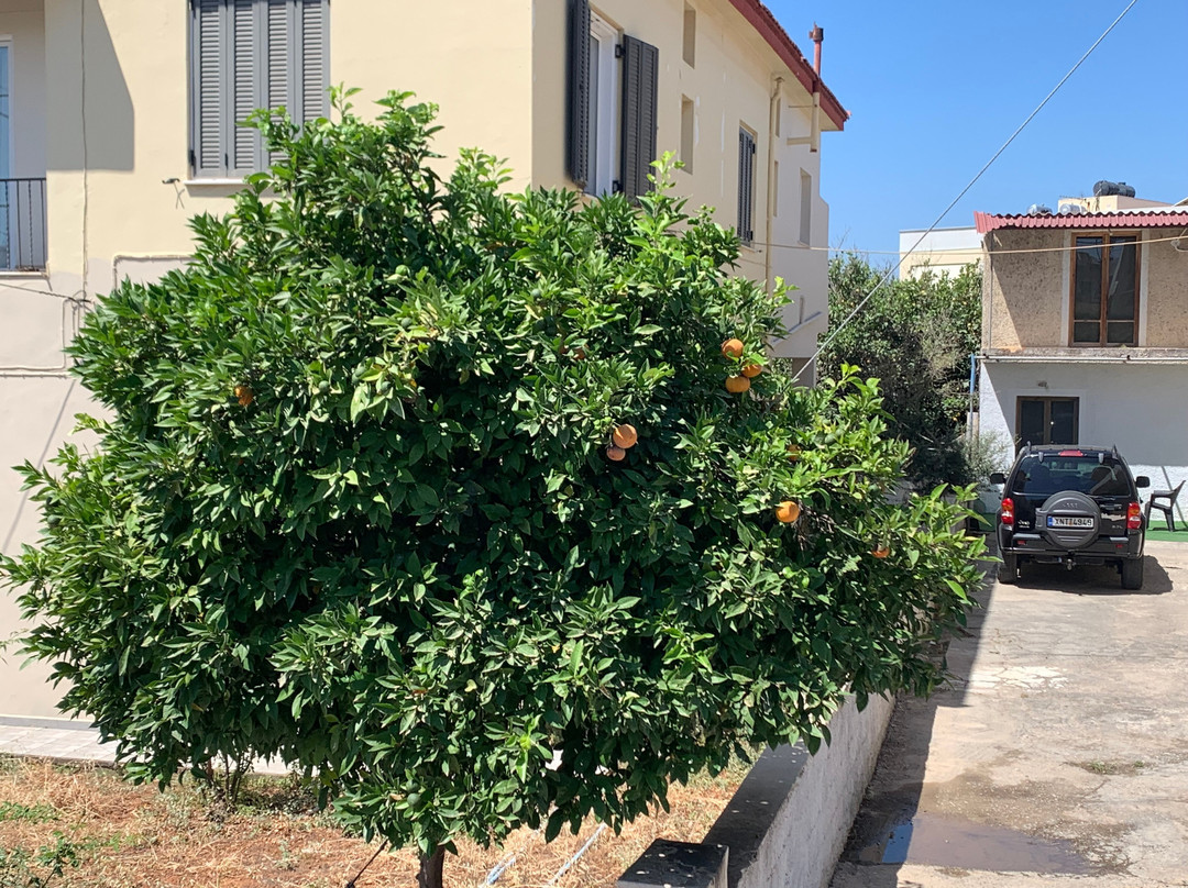 Chania Old Town-干尼亚必去景点