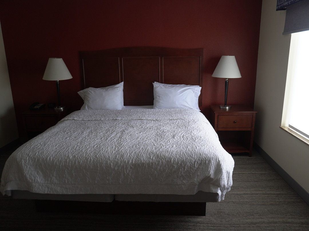 Hampton Inn & Suites Exmore - Eastern Shore主图