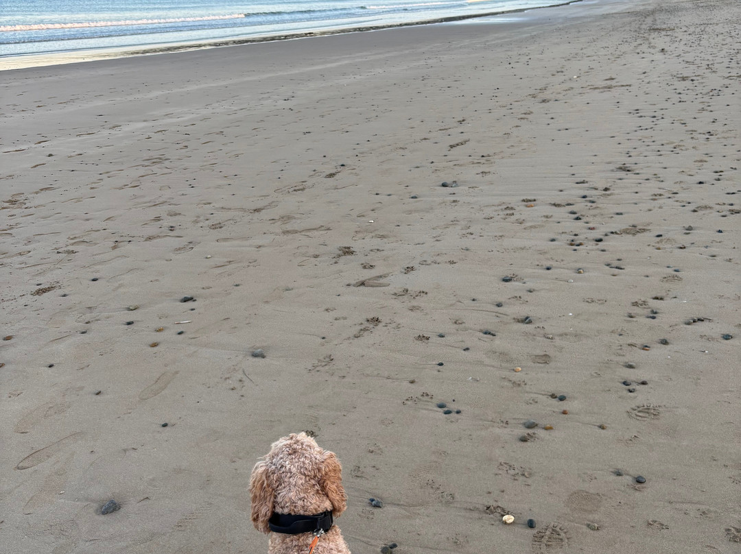 Newgale Campite-Newgale必去景点