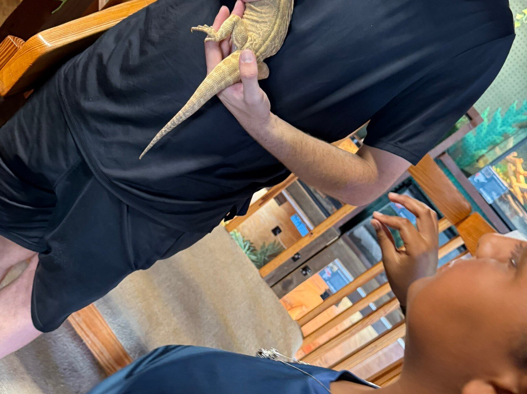 Topsail Aquarium-Surf City必去景点