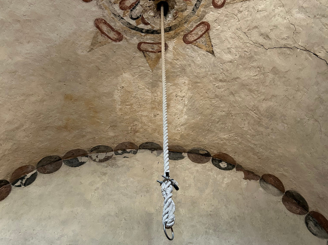 Gray Line Tours-奥斯丁必去景点