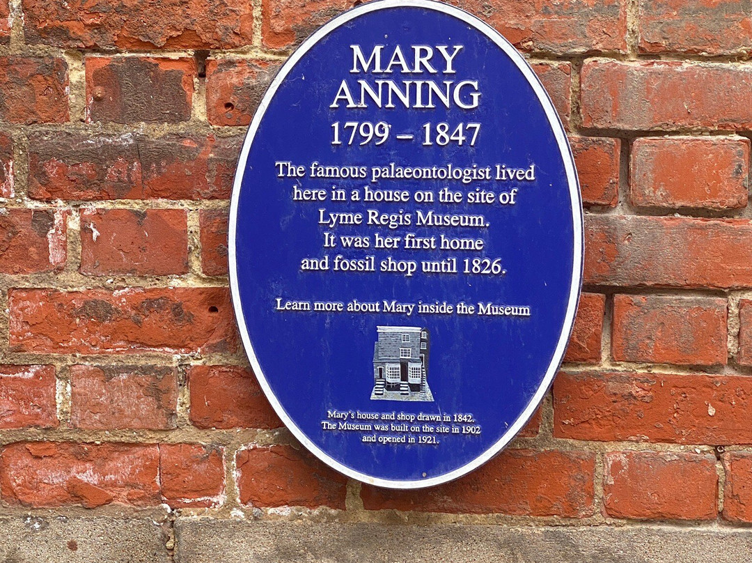 Lyme Regis Philpot Museum-莱姆里杰斯必去景点